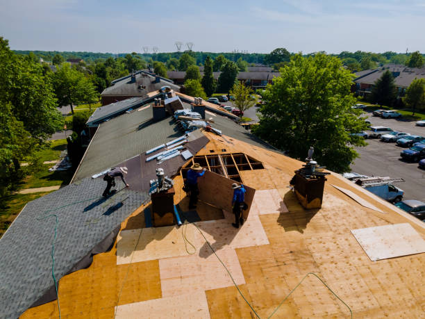 Best Roof Maintenance Services  in Collinsvle, IL