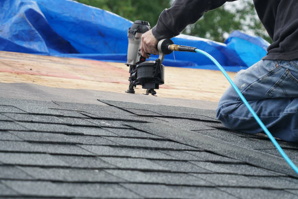 Best Gutter Installation and Roofing  in Collinsvle, IL