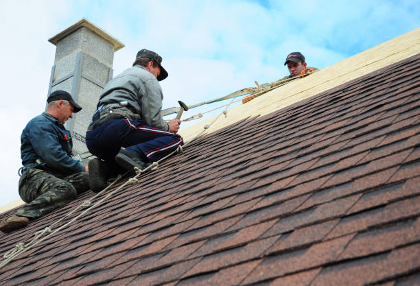 Best Residential Roofing Contractor  in Collinsvle, IL